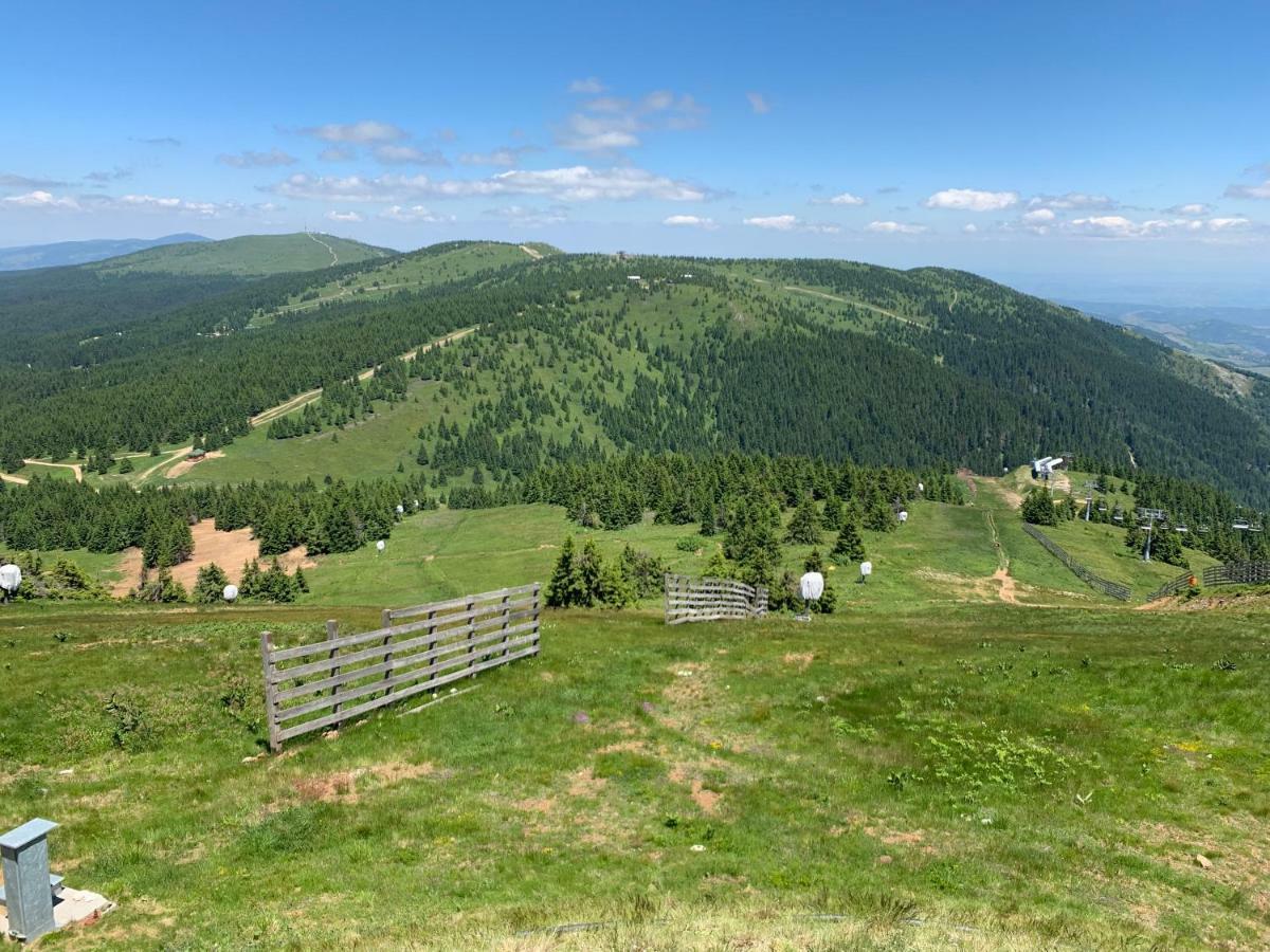 Queen Of Kop Milmari Apartment Kopaonik Exterior photo